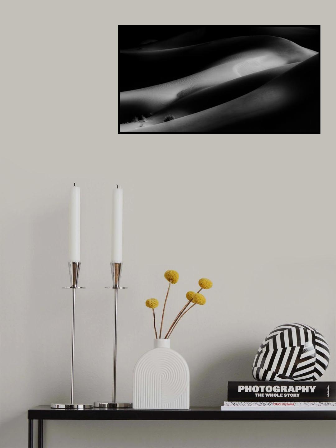 Dolphin Poster och Canvastavla