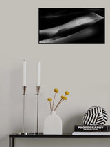 Dolphin Poster och Canvastavla