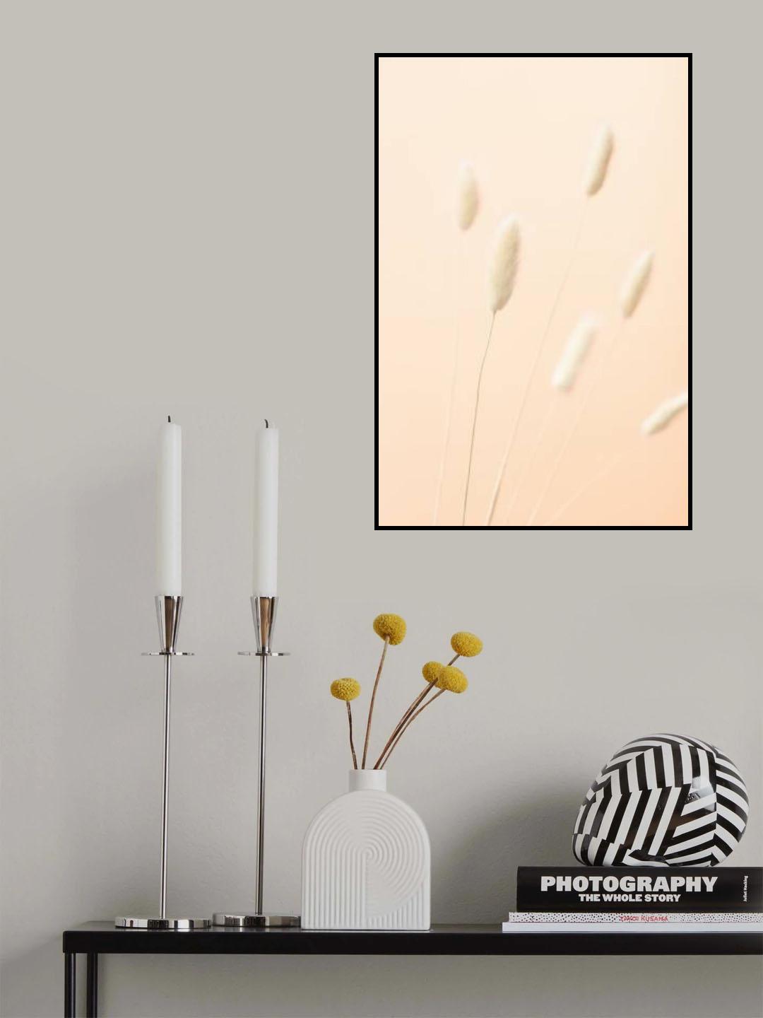 Bunny Grass Peach 07 Poster och Canvastavla