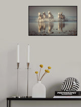 Camargue Horses Poster och Canvastavla