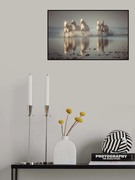 Camargue Horses Poster och Canvastavla