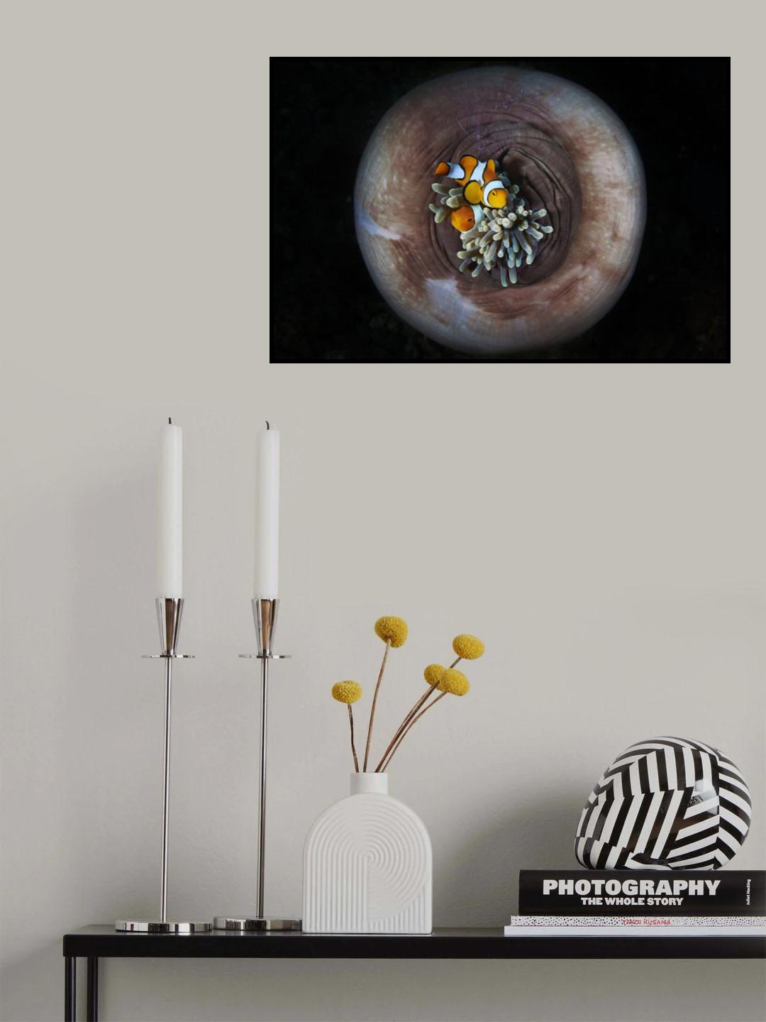 Nemo Word Poster och Canvastavla