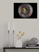 Nemo Word Poster och Canvastavla