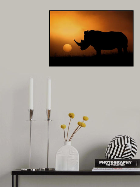 Rhino Sunrise Poster och Canvastavla
