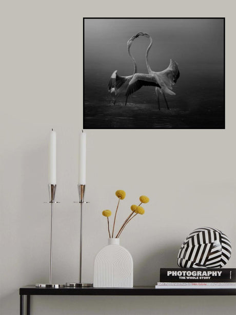Attraction Poster och Canvastavla