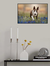 On a strol Poster och Canvastavla