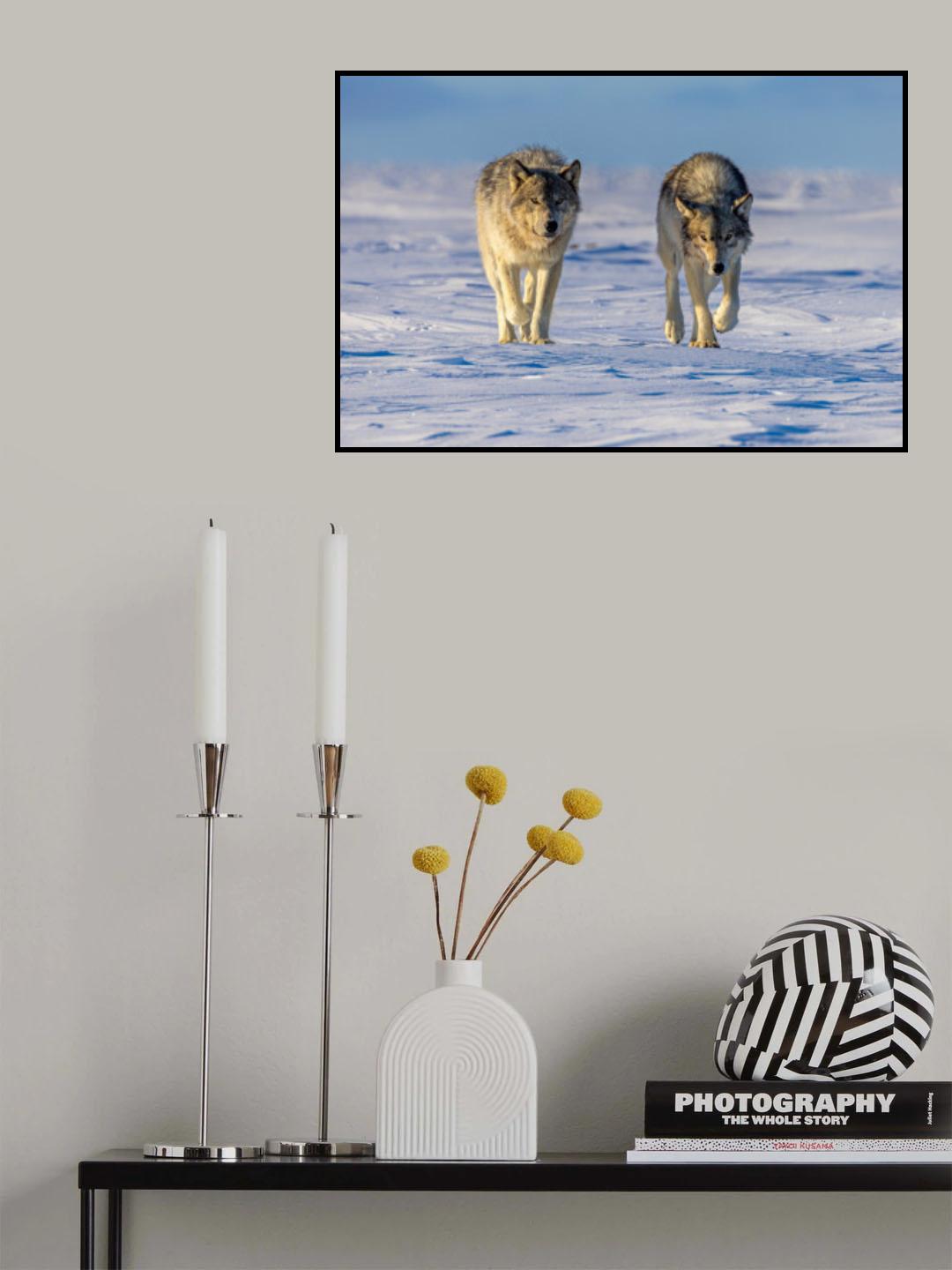 Coming Poster och Canvastavla