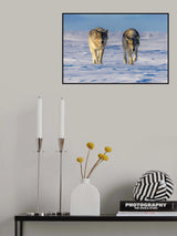 Coming Poster och Canvastavla