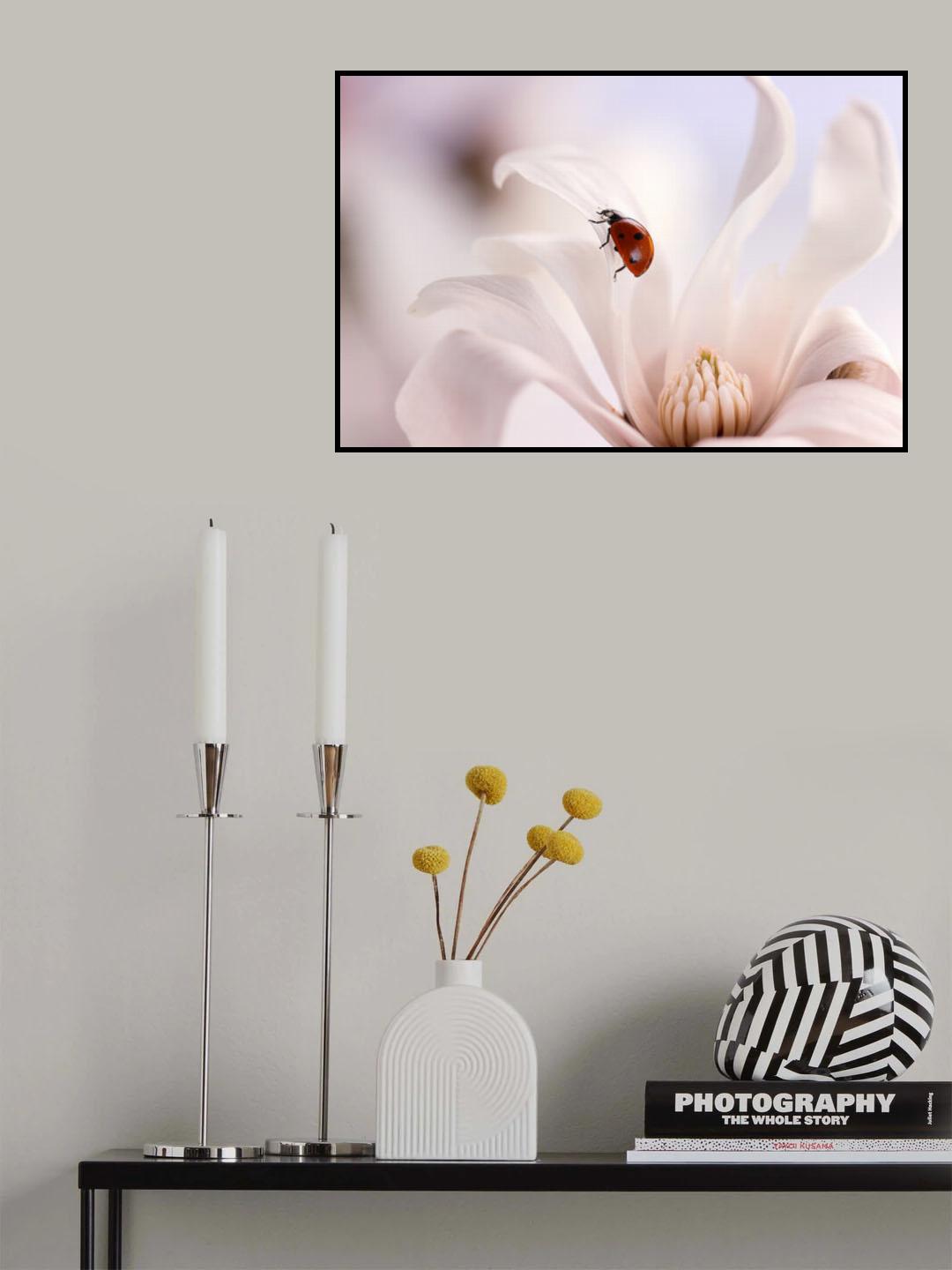 Ladybird with Magnolia Poster och Canvastavla