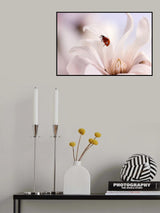 Ladybird with Magnolia Poster och Canvastavla