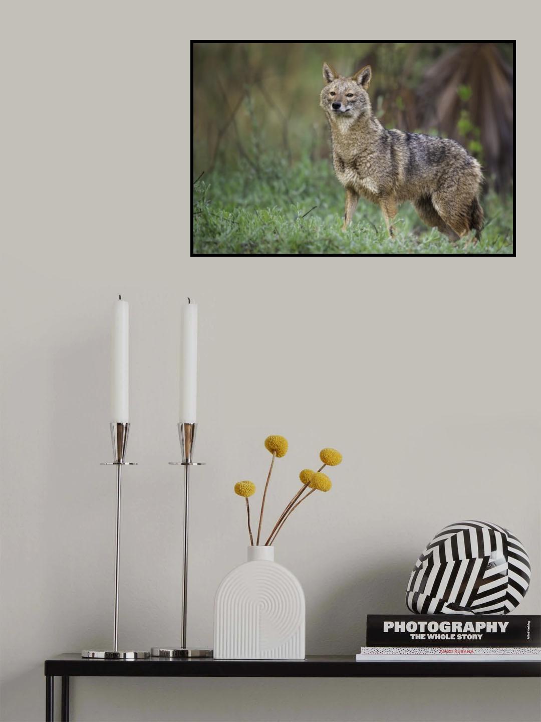 Poster och Canvastavla