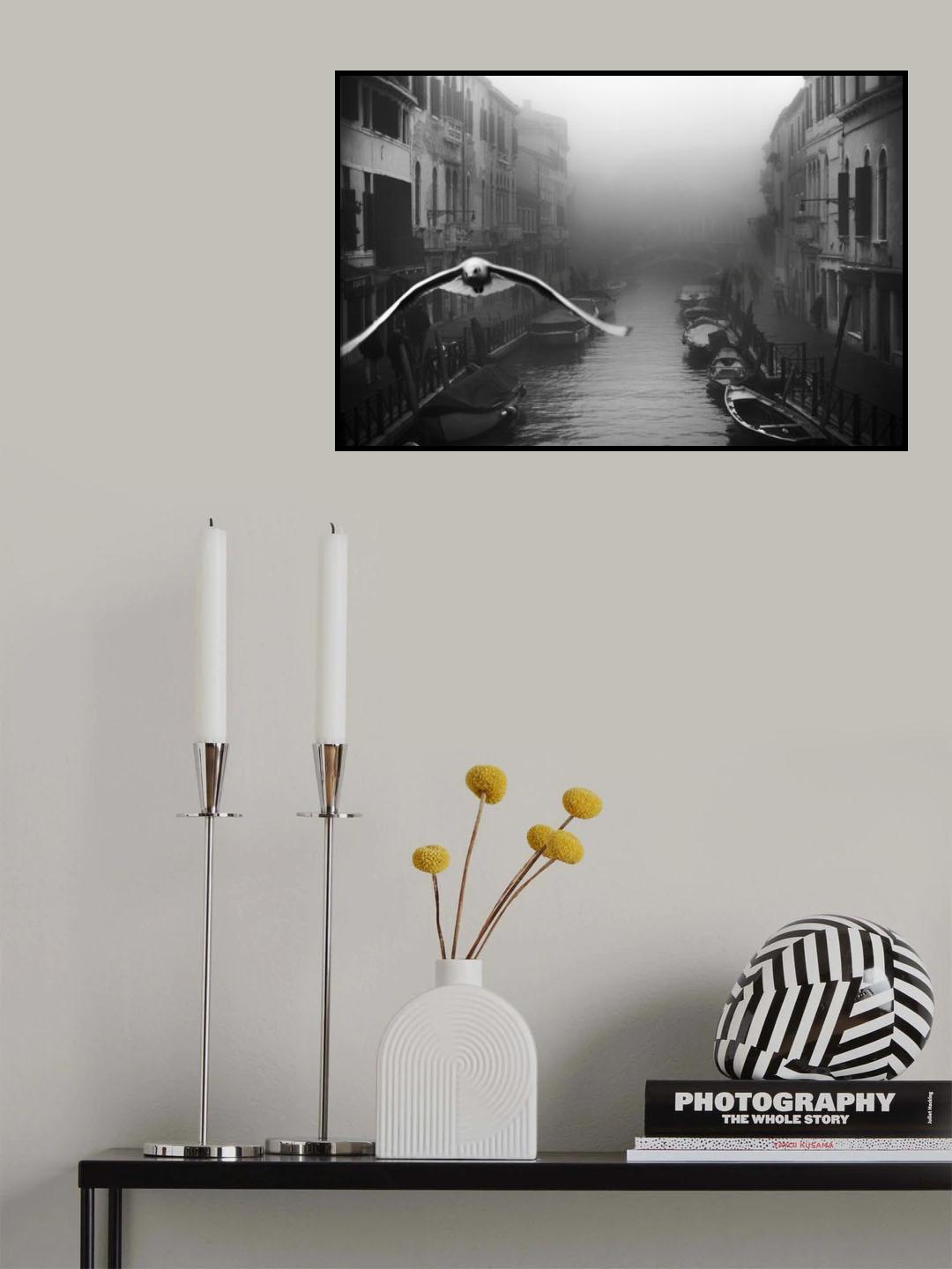Seagull from the mist Poster och Canvastavla