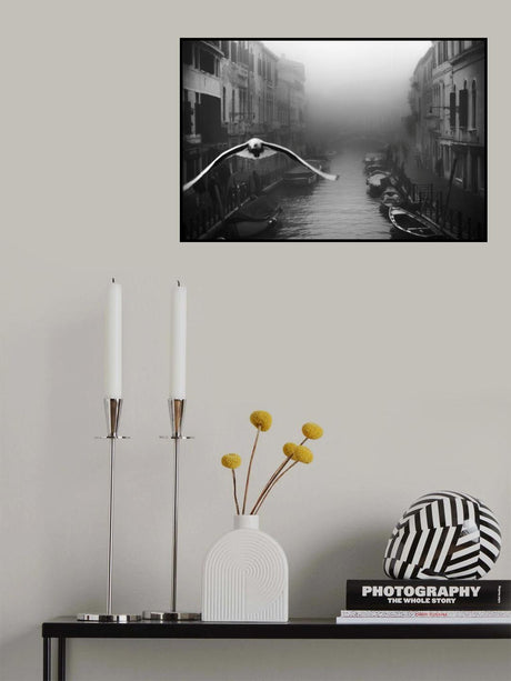 Seagull from the mist Poster och Canvastavla