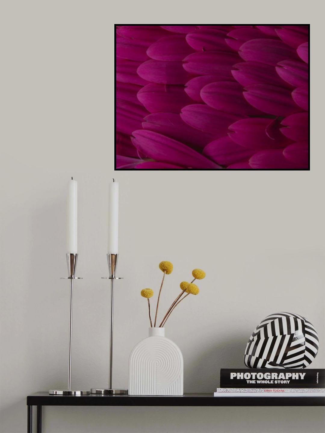 flower petals Poster och Canvastavla