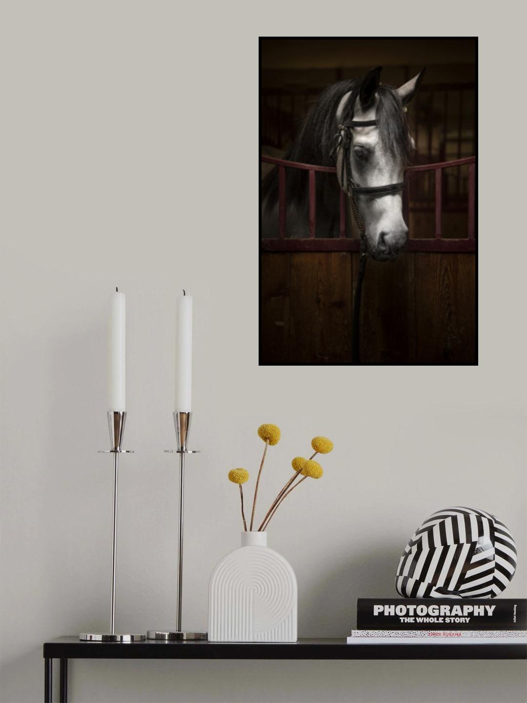 B W Poster och Canvastavla