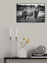 Royal Pose Poster och Canvastavla