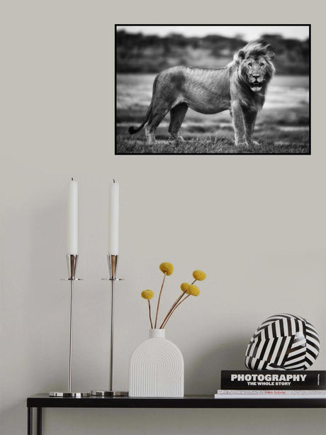 Royal Pose Poster och Canvastavla