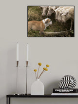 The peptalk Poster och Canvastavla
