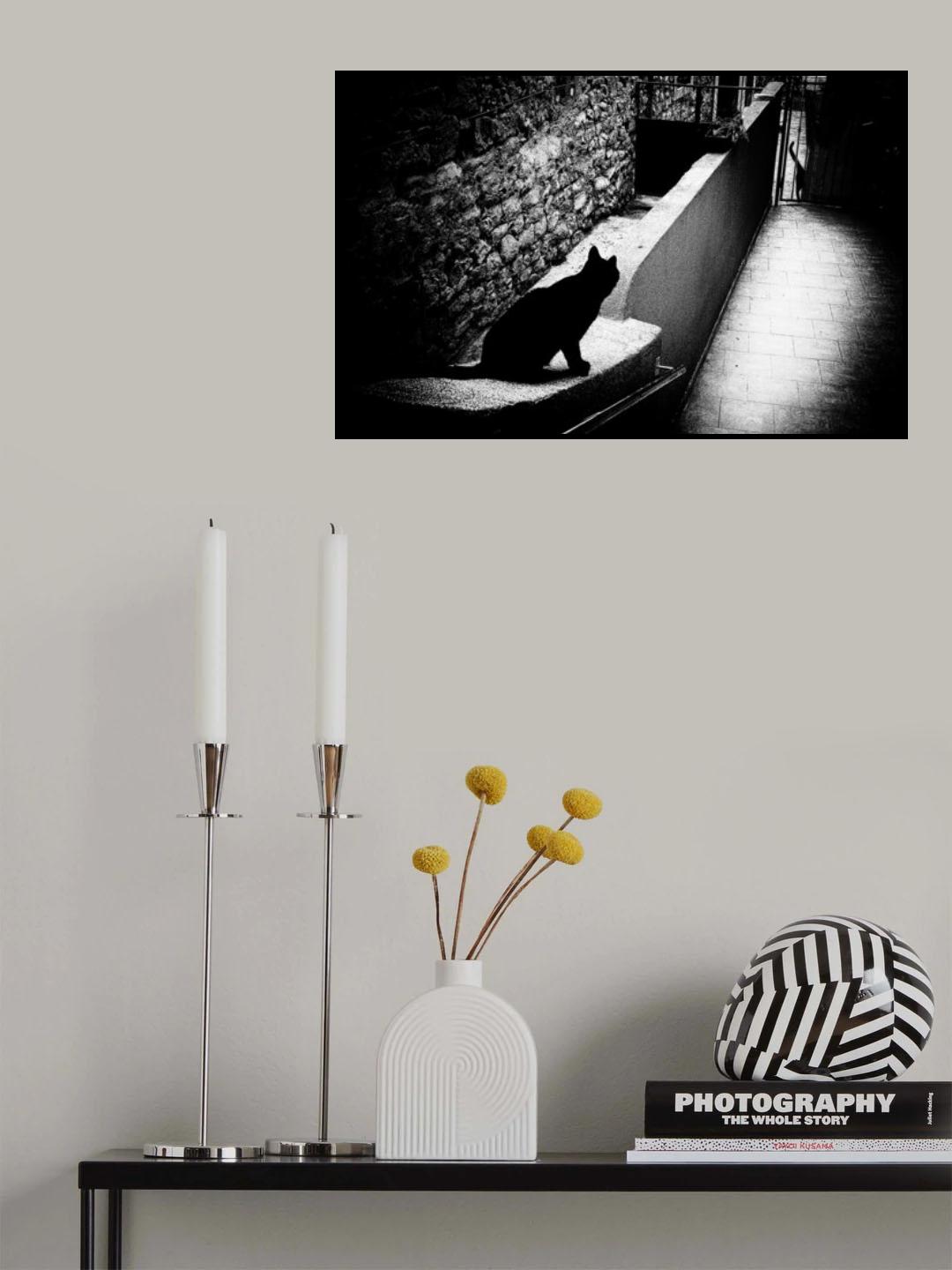 Chat noir Poster och Canvastavla