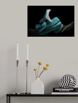 Don't disturb Poster och Canvastavla