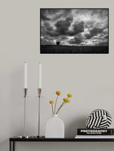 the encounter Poster och Canvastavla