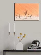 Walking in deadvlei Poster och Canvastavla