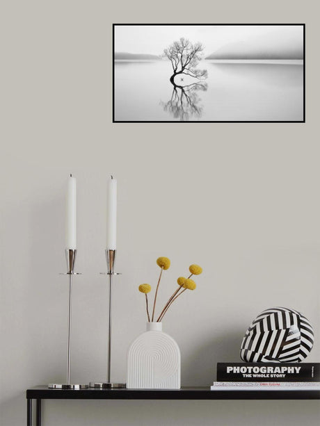 Serenity Poster och Canvastavla