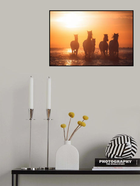 Camargue angels Poster och Canvastavla