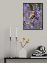 Busy Day Poster och Canvastavla