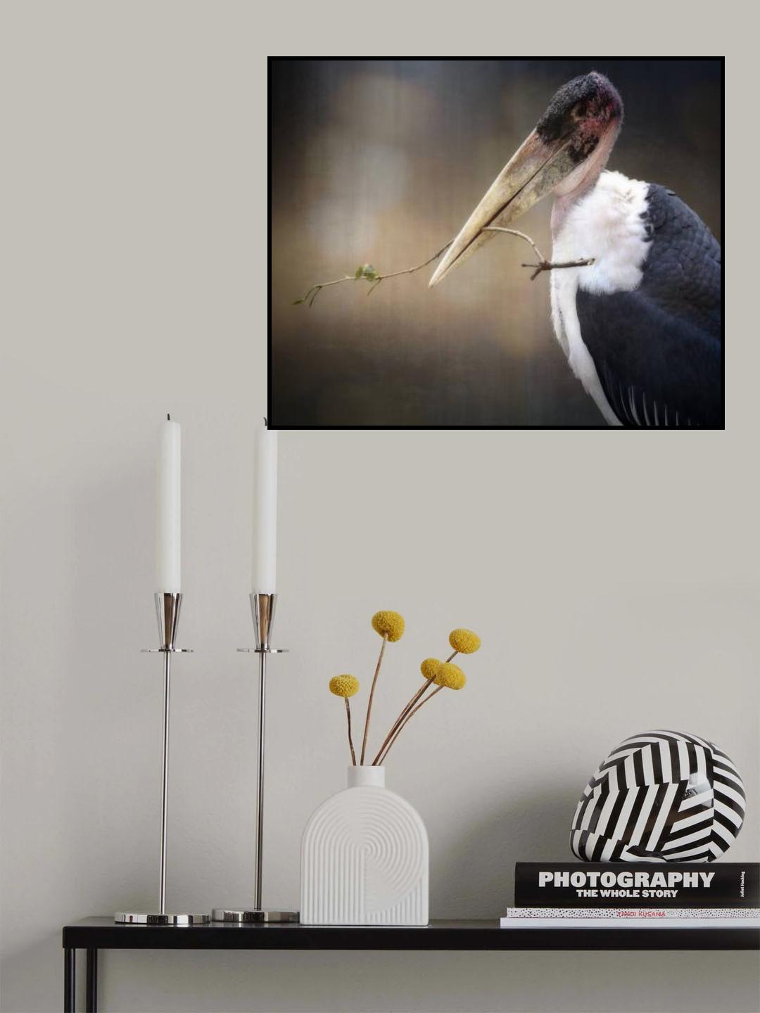 marabout Poster och Canvastavla