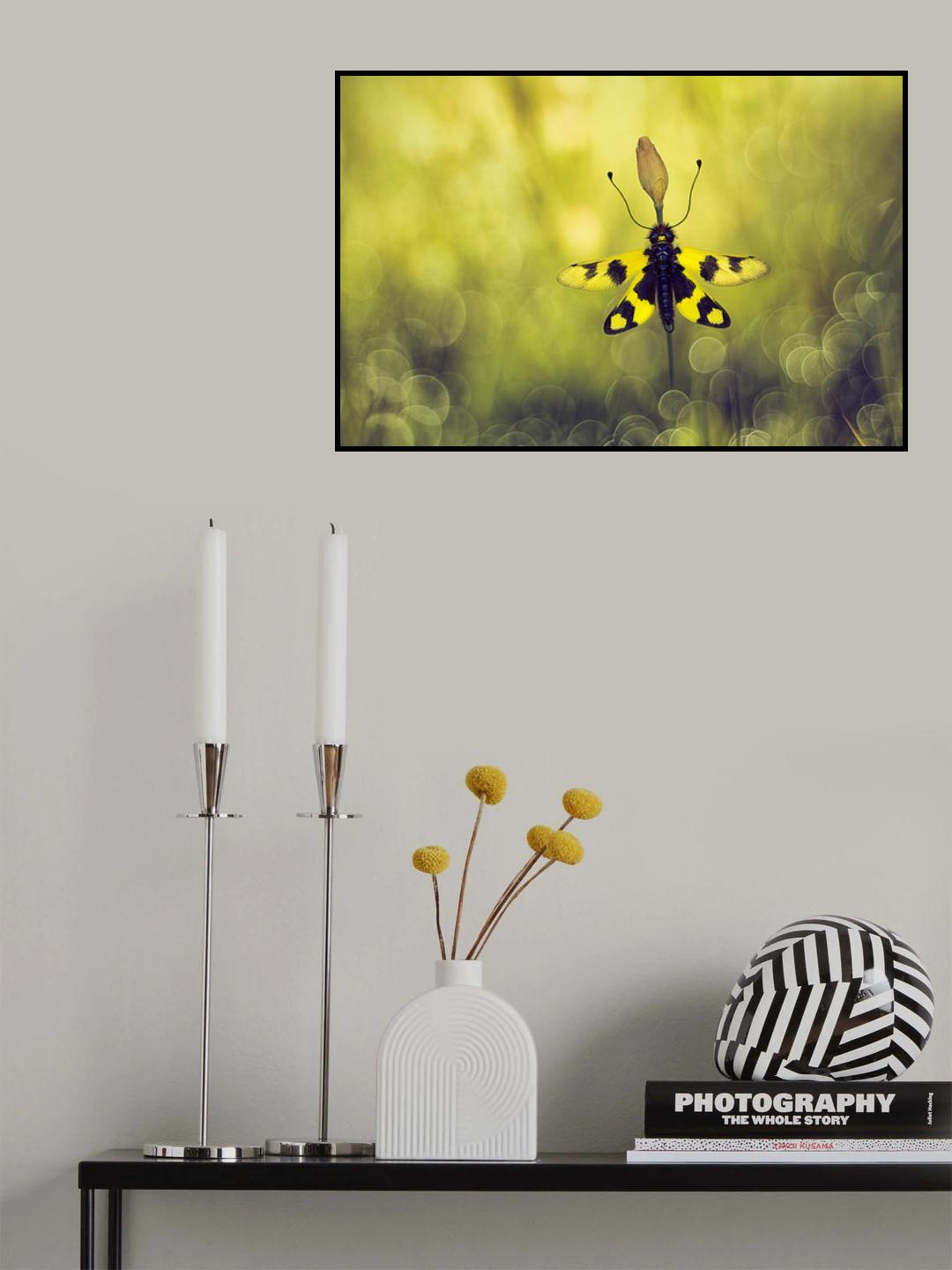 Woven wings Poster och Canvastavla