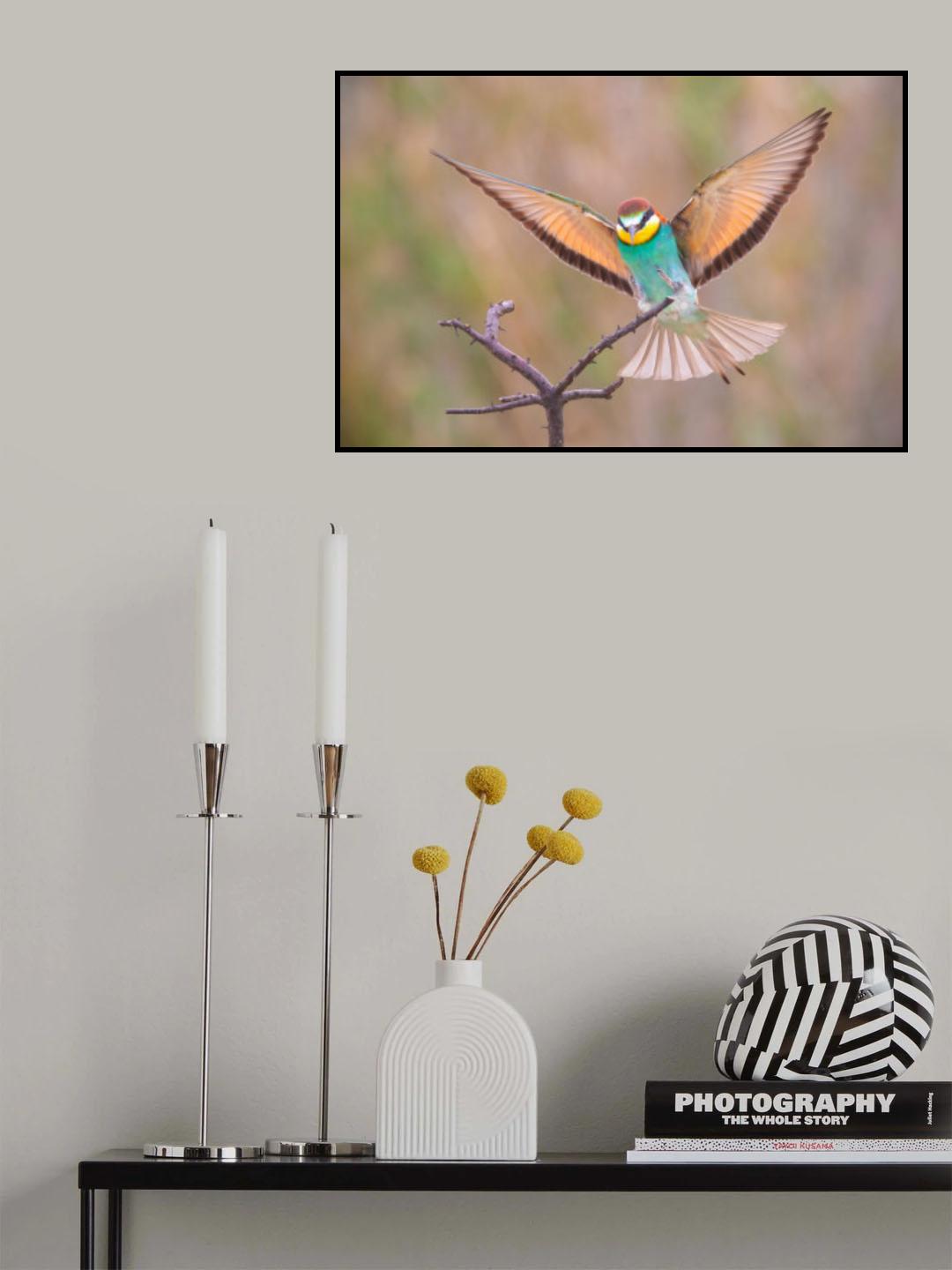 Perfect landing! Poster och Canvastavla