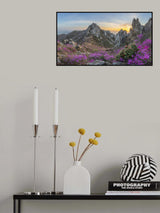 Blooming Time, Deokryongsan Poster och Canvastavla