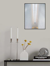 Vertebral column Poster och Canvastavla