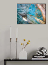 Abstract in nature Poster och Canvastavla