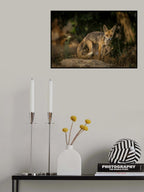 Than look Poster och Canvastavla