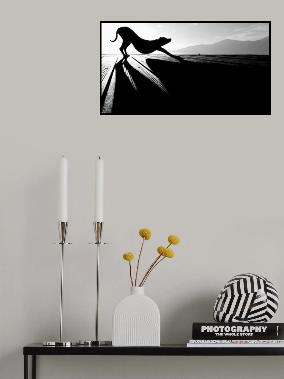 sun salutation Poster och Canvastavla