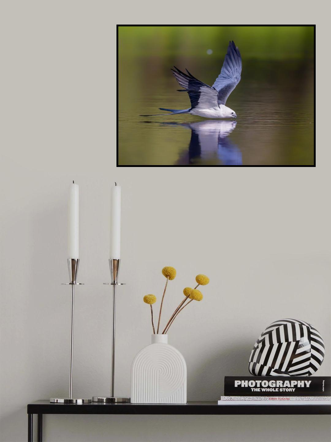 Take a Drink Poster och Canvastavla
