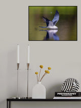 Take a Drink Poster och Canvastavla