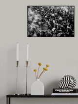 Poster och Canvastavla