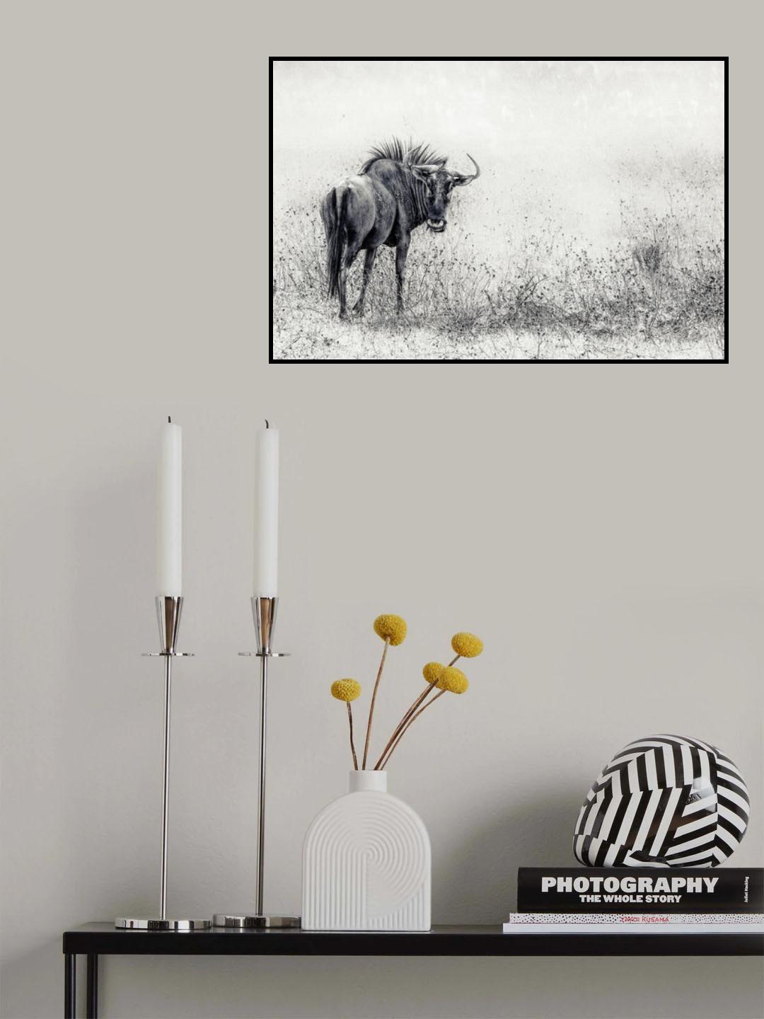 the endless grass-fields Poster och Canvastavla