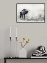 the endless grass-fields Poster och Canvastavla