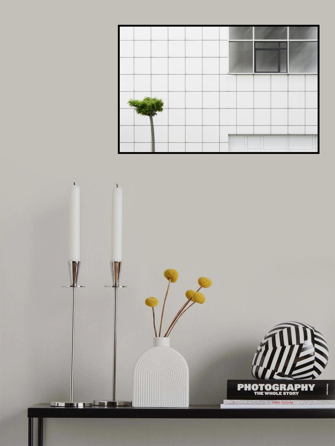 Little tree Poster och Canvastavla