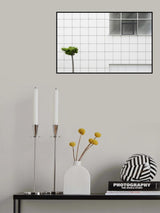 Little tree Poster och Canvastavla