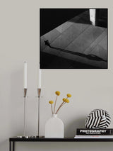 Poster och Canvastavla