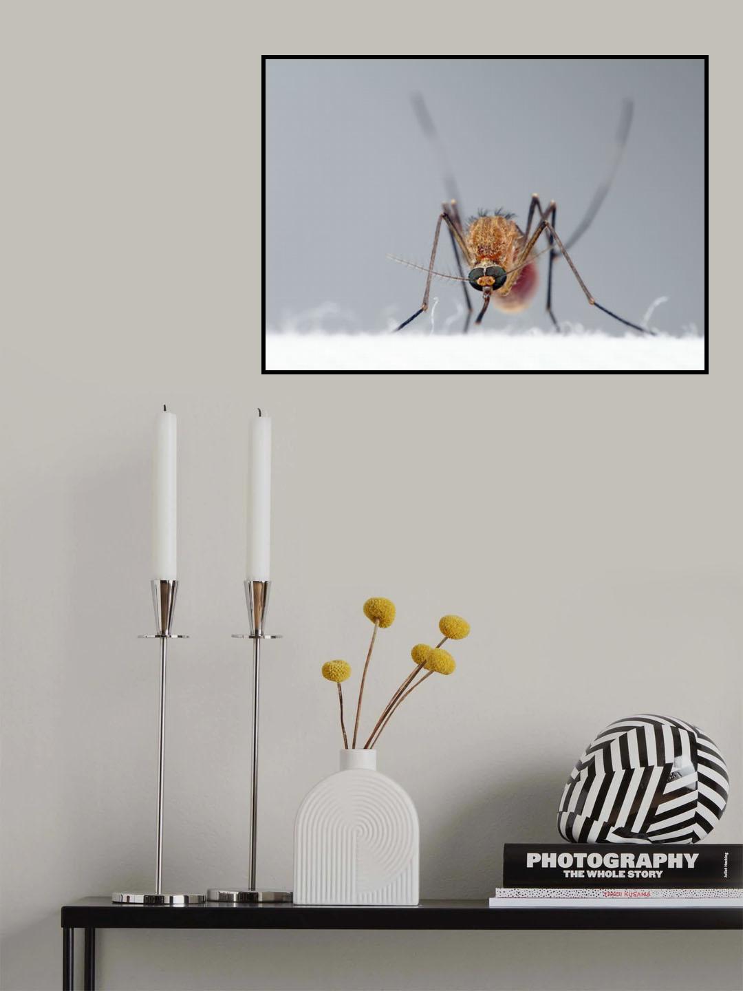 Mosquito Poster och Canvastavla