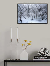 white forest Poster och Canvastavla
