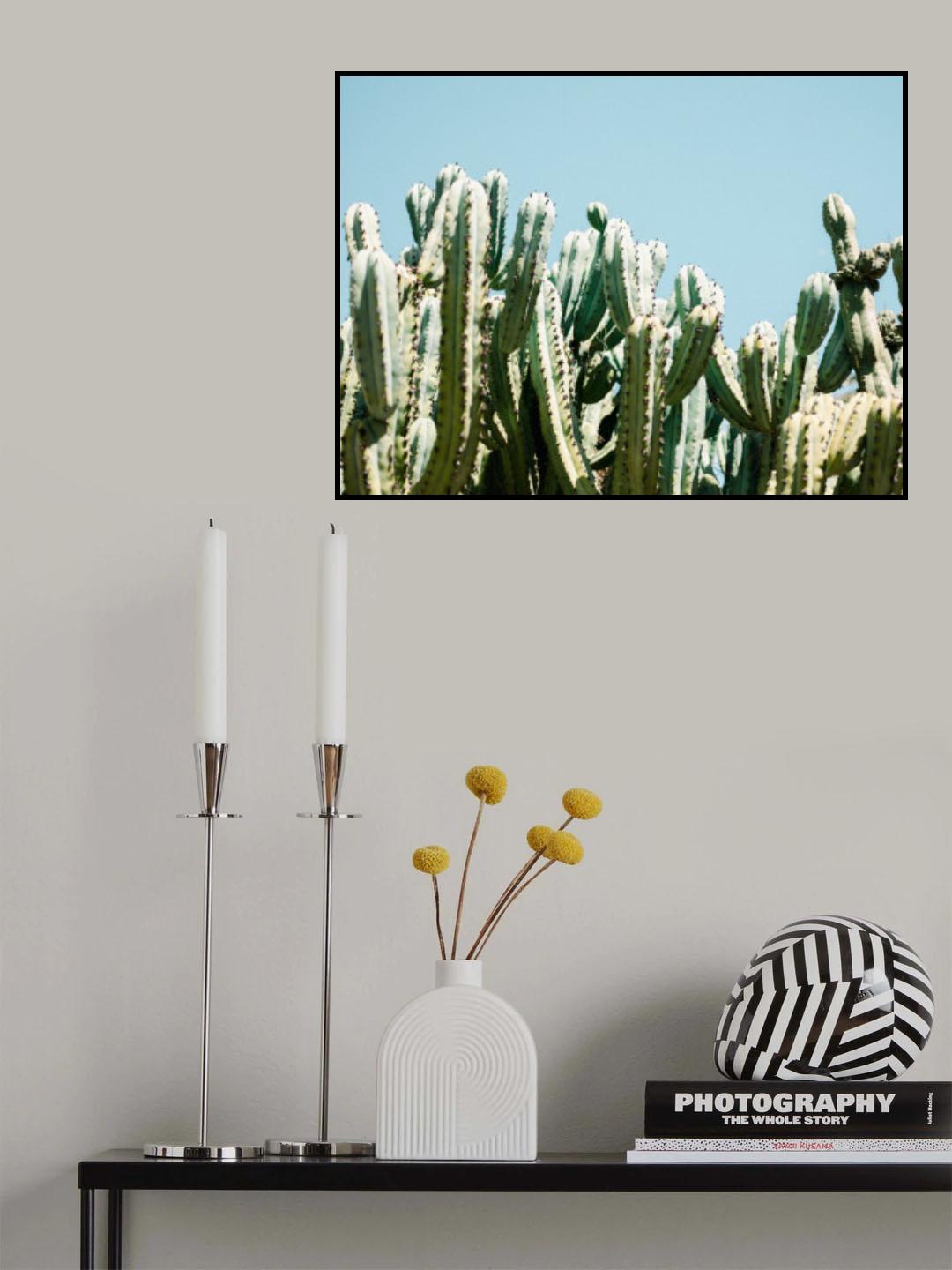 South of Spain Poster och Canvastavla