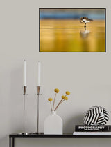 Sanderling tidiness Poster och Canvastavla