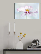 Cosmos Poster och Canvastavla